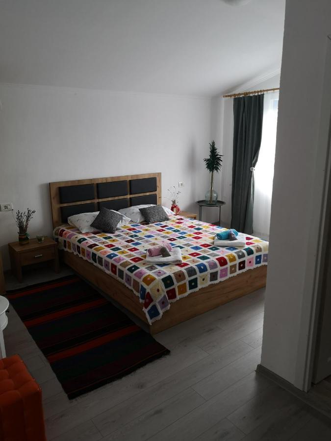 Casa David Hotel Dunavăţu de Sus Екстериор снимка